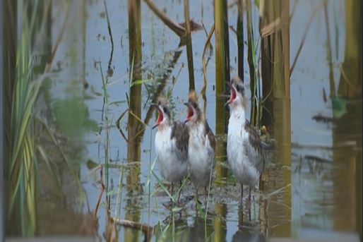 [query-result:espagetitle]